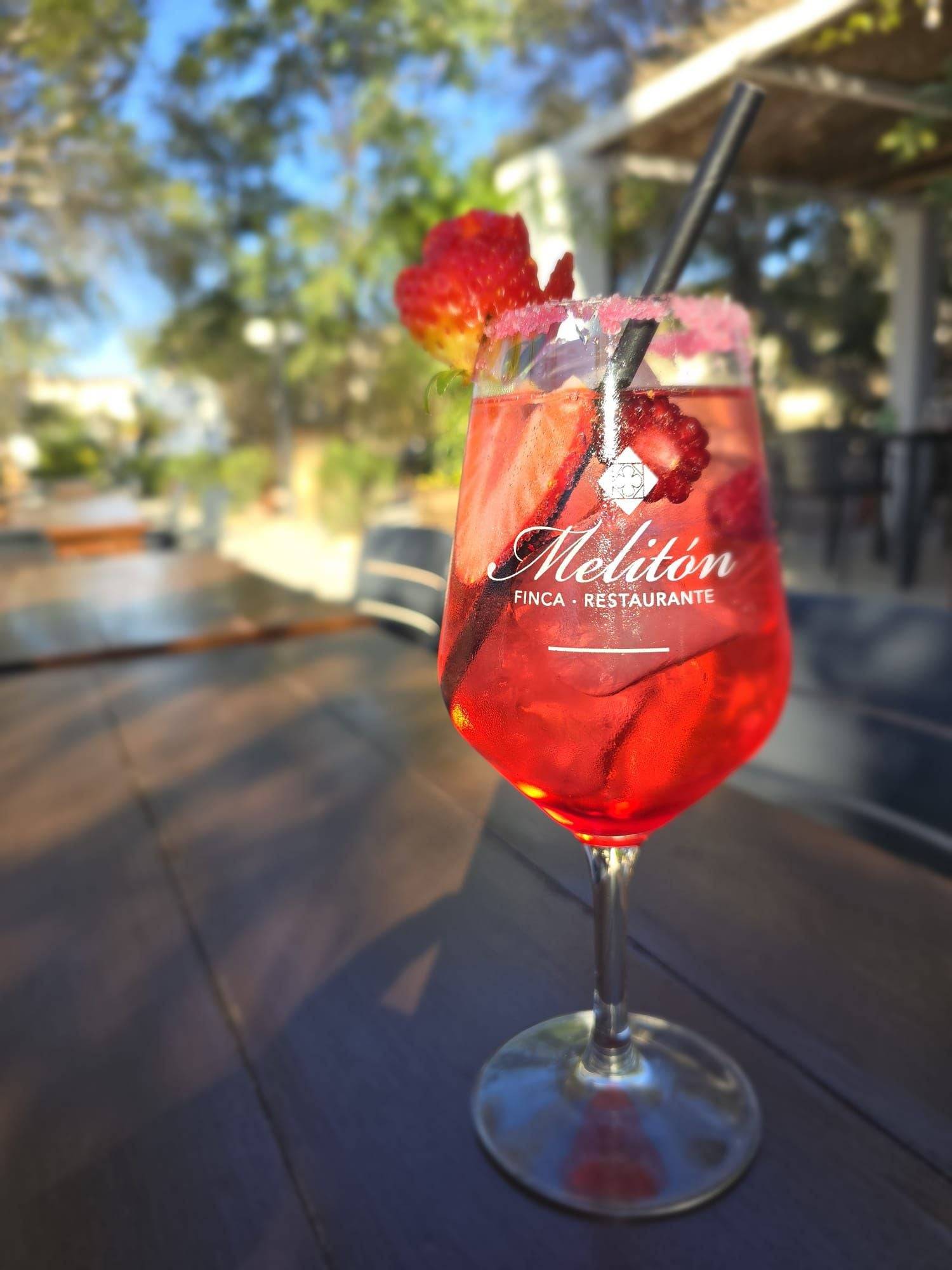 Finca Restaurante Melitón Jardín en Altea — foto 4