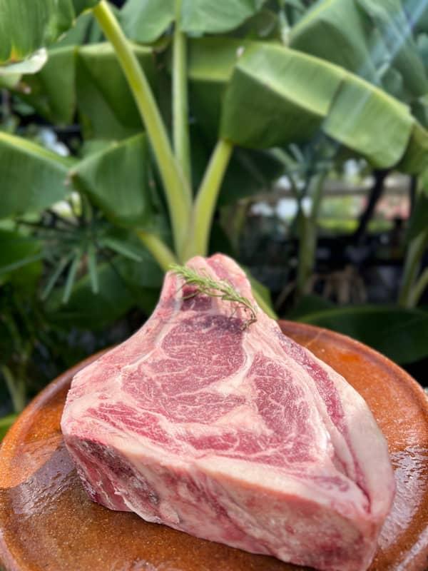 Chuletón 1K de Ternera Madurada 45 Días en Matahambre Grill , Alcossebre