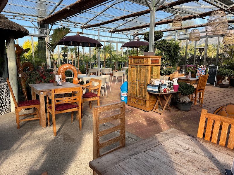 Bali Café @ Montgo Verd - restaurante en Jávea, Alicante, España