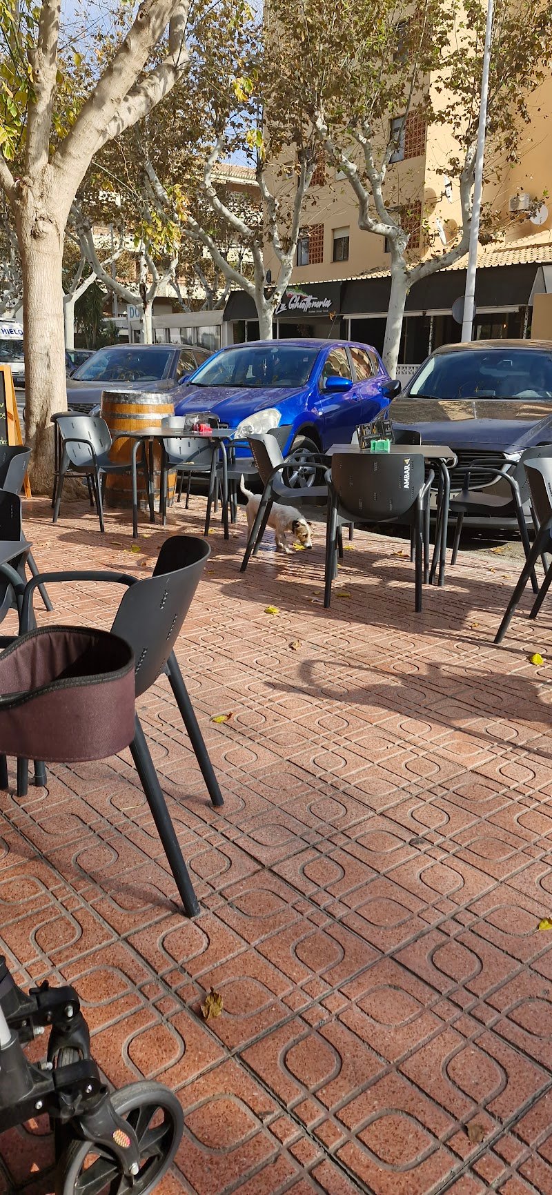 Bar Mi Tierra - restaurante en Jávea, Alicante, España
