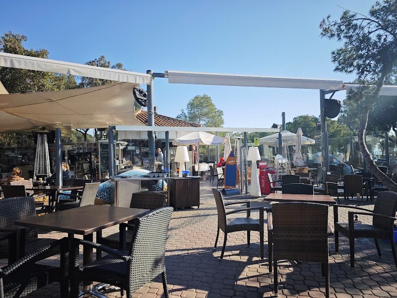 Bar restaurante Terraza Sotavento - restaurante en Guardamar del Segura, Alicante, España