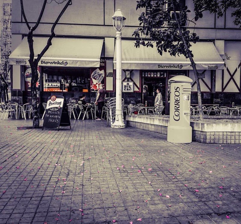 Cervecería Bierwinkel - restaurante en Elche, Alicante, España