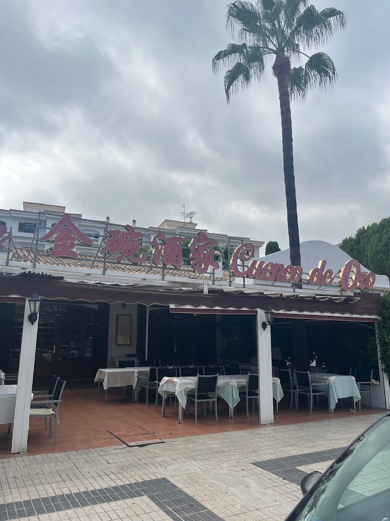 Cuenco de oro - restaurante en Benidorm, Alicante, España
