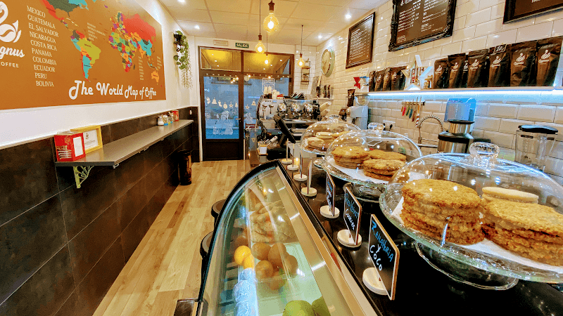 Cygnus Coffee Shop - restaurante en Gandía, Valencia, España