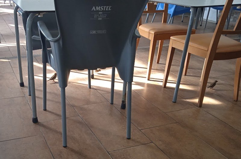 Restaurante el 26 - restaurante en Arenales del Sol, Alicante, España