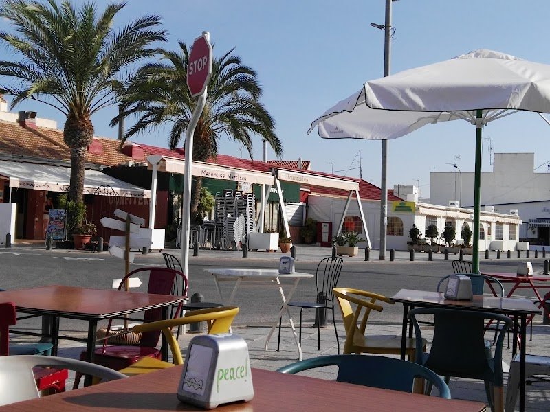 Restaurante pizzería Lilli / Plaza Nueva - restaurante en Pilar de la Horadada, Alicante, España