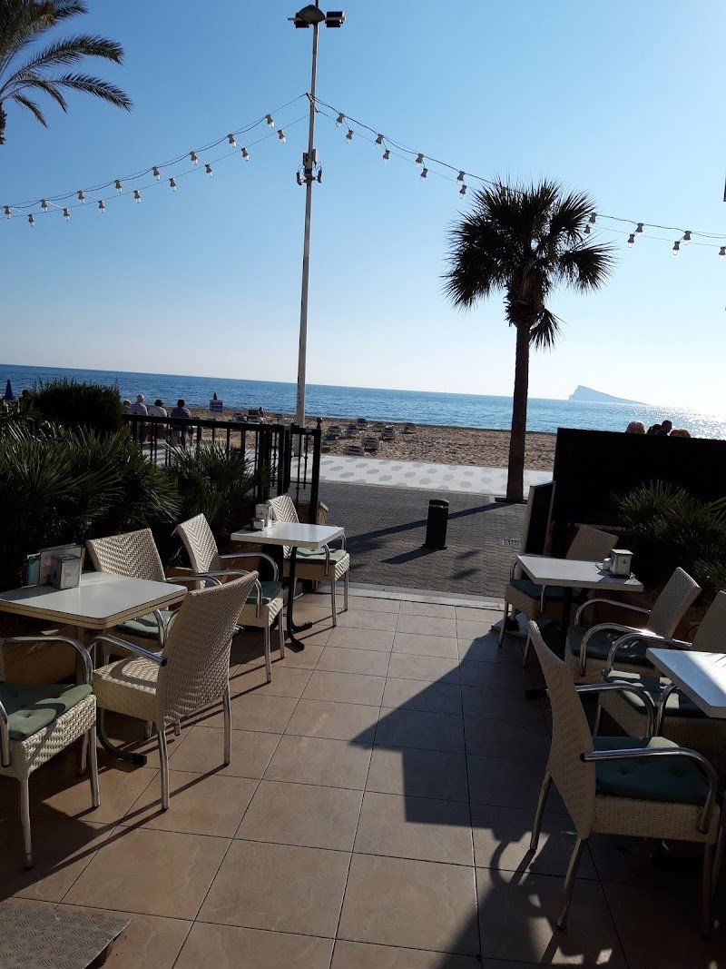 Terraza Cactus - restaurante en Benidorm, Alicante, España