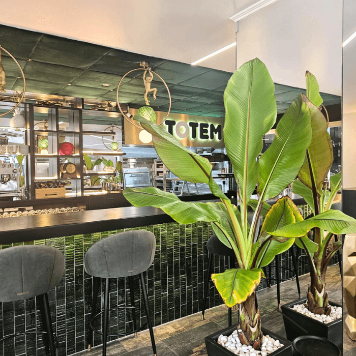Totem Elche - restaurante en Elche, Alicante, España